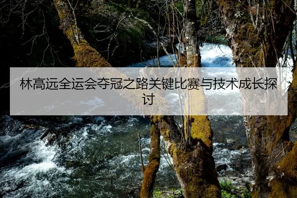 林高远全运会夺冠之路关键比赛与技术成长探讨
